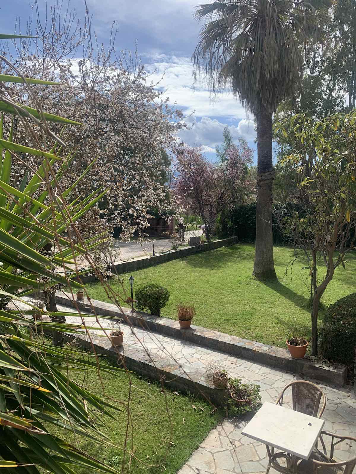 Aenaon Studios garden