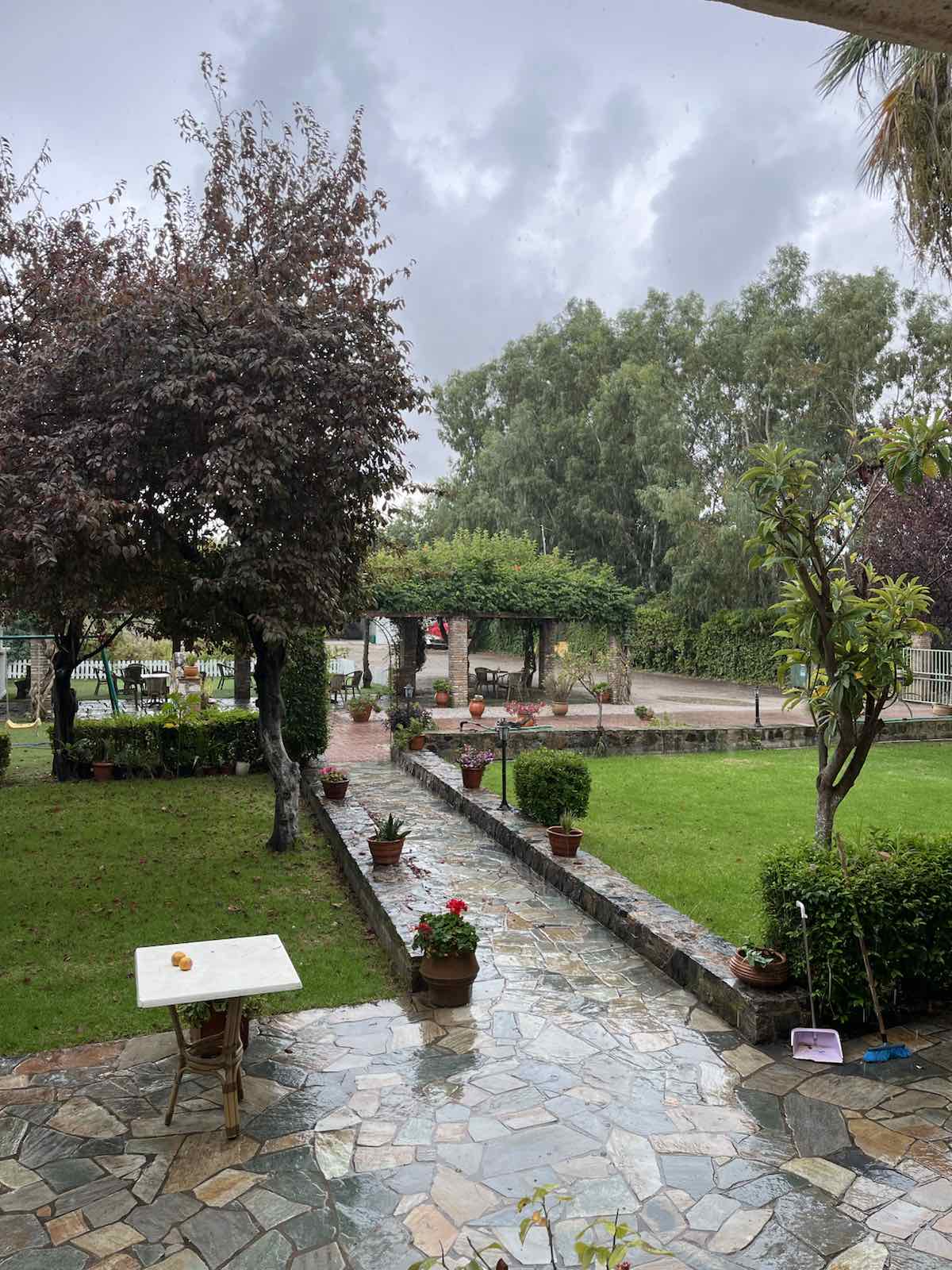 Aenaon Studios garden